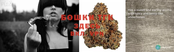 винт Сатка