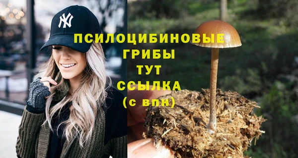 винт Сатка