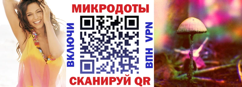 Галлюциногенные грибы Psilocybe ссылка на мегу онион Снежногорск