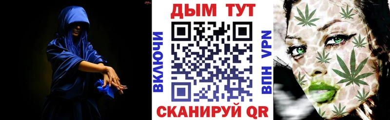 магазин продажи наркотиков  Снежногорск  Каннабис VHQ 